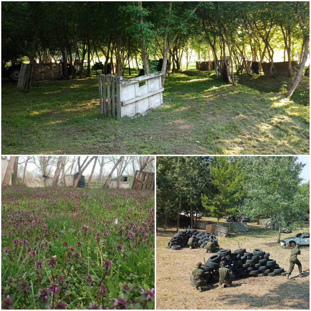 amazonas-paintball-terepe-kàpolna-amazonaspintball-hu